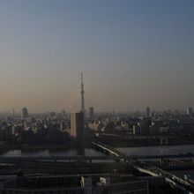 タワーホール船堀から見た東京スカイツリー