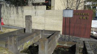 善福寺の参道沿いにある井戸