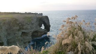 象の鼻みたい！