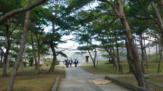 整備された石垣！