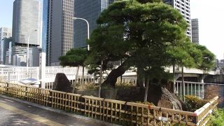 大阪には 「蛸の松」 があります