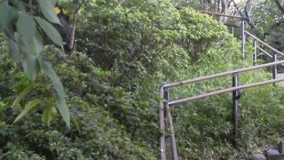 休憩場所にいい亀塚公園内にある「亀塚古墳」～三田～