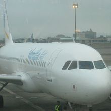 黄色の塗装ではない？