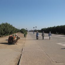 メナラ庭園までの道のり