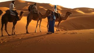 ラクダに乗ってサハラ砂漠へ