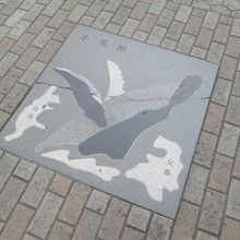 …なかなか凝った通りですね