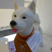 こんぴら狗 クチコミ アクセス 営業時間 3ページ目 琴平 金刀比羅宮周辺 フォートラベル こんぴら狗 クチコミ アクセス 営業時間 3ページ目 琴平 金刀比羅宮周辺 フォートラベル