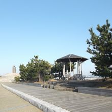 センタープロムナード・散策路、先の小高いところさざえ島