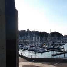 さざえ島頂きから江の島方面撮ってみました。