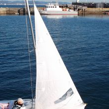 ヨットを間近で見られます。