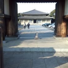 鳩がいなかったのですが