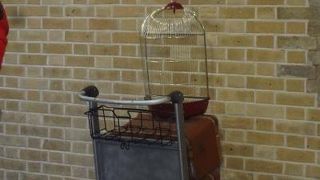 キングス クロス セント パンクラス駅 