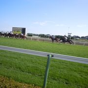 落ち着いた競馬場