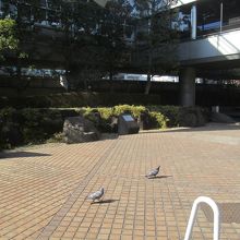 さほど大きな像ではありません