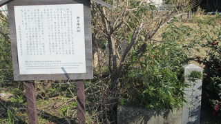 さびしく。。。。