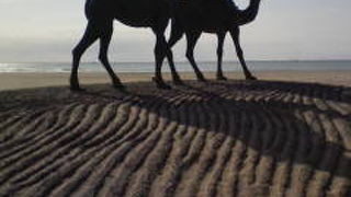 御宿～大原～清水観音３０ｋ