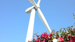 烏丸半島のシンボル!!