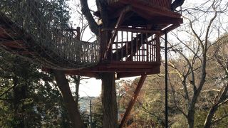 茅ヶ崎市市民の森