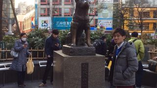 ハリウッドでも有名な犬