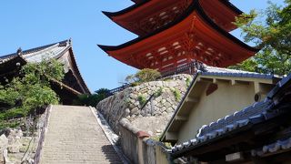 島のいろいろなところから見て楽しもう