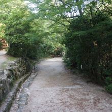 迷子になりそう