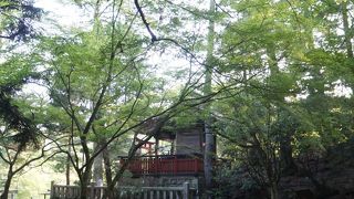 新緑の空気を吸いながら歩く