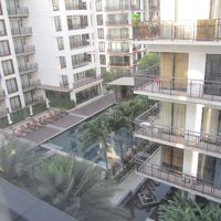 部屋から見た中庭