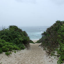砂山から見たビーチ