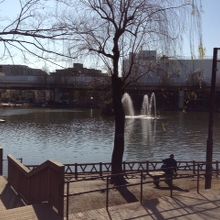 文字通りオアシスの公園