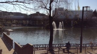 無料で釣りができます