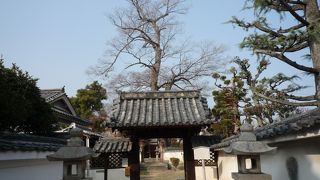 皮膚病に御利益があるそうです