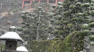 けっこういいかも