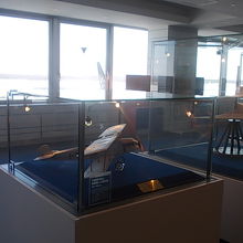 展示品越しに外を眺めることも出来ます