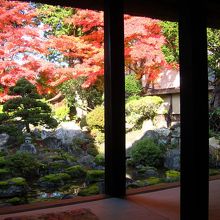 御座の間から見えるお庭は遠州流。素朴な中に風流さが。
