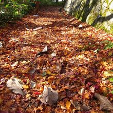 これはまだ比較的歩きやすかったところ。