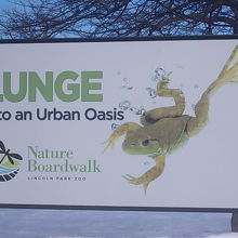 カエルさんがお出迎え！！！