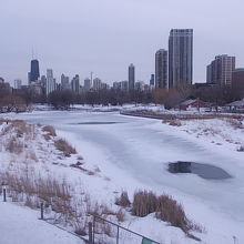 動物園の南側から市街地が望めます