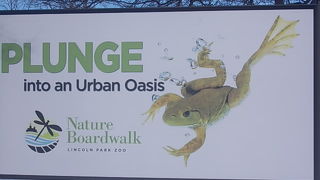 シカゴ市民がこよなく愛する動物園です