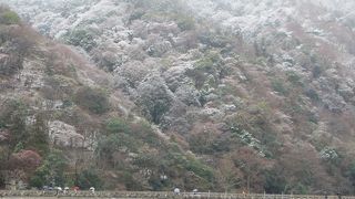 初めて見た雪景色。