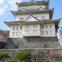 梅がきれいでした。