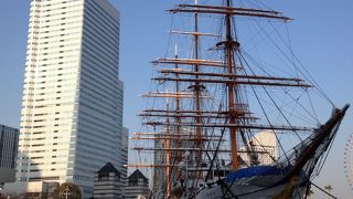 冬の晴れ間にとても綺麗