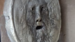 誰もいない朝、柵の向こうに見つけました