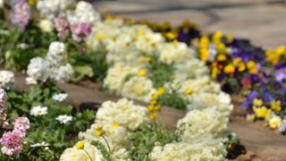 丘の上にある都心の公園