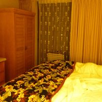 何でもパイナップルなんです