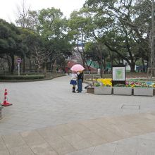 横浜公園