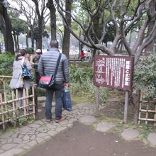 横浜公園