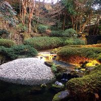 ロビーから見た中庭の様子です。