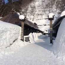 鶴の湯温泉