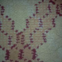 カーペットです。髪の毛が見えますか？一面こうでした！