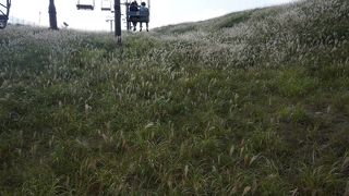 気持ちの良い場所